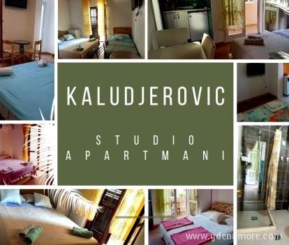 Apartments Kaludjerovic - AVAILABLE UNTIL 28.08.2021, private accommodation in city Igalo, Montenegro